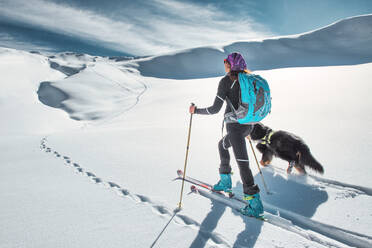 A woman ski mountaineer with her beloved dog alone in snow flats - INGF12178