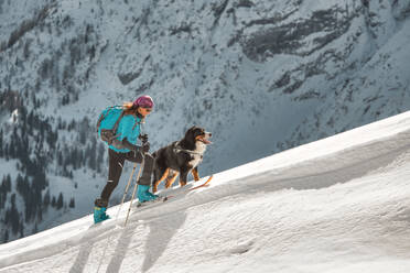 Ski mountaineering climb on a ridge a girl with her dog - INGF12179