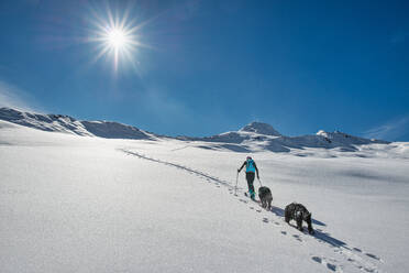 Eine sportliche Skitourengeherin steigt mit ihren beiden Hunden in die Loipe - INGF12180