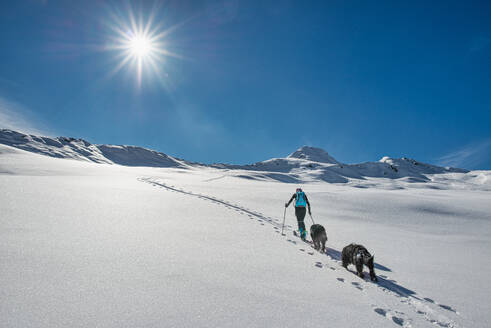 Eine sportliche Skitourengeherin steigt mit ihren beiden Hunden in die Loipe - INGF12180