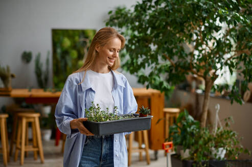 Young female florist worker enjoying her job. Portrait of smiling woman walking with plants in plastic box. Floristic workshop concept. Young female florist worker enjoying her job - INGF12199