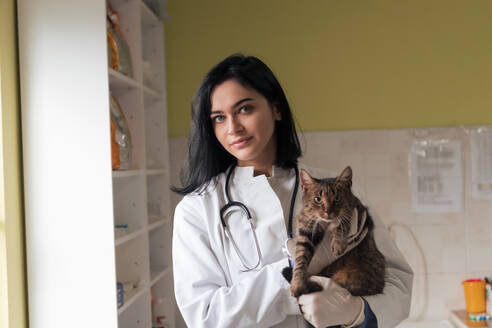 Veterinary clinic. Female doctor portrait at the animal hospital holding cute sick cat ready for veterinary examination and treatment . Veterinary clinic. Female doctor portrait at the animal hospital holding cute sick cat - INGF12307