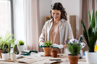 People, gardening and housework concept - happy woman in gloves planting pot flowers at home. happy woman planting pot flowers at home - INGF12344