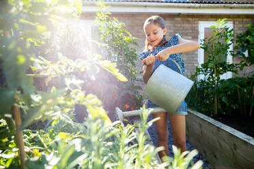 Young Girl Watering Raised Vegetable Beds At Home With Watering Can - INGF12670