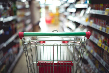 Closeup detail of a woman shopping in a supermarket - INGF12719