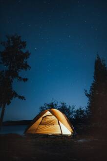 A vertical shot of a camping tent near trees during nighttime. Vertical shot of a camping tent near trees during nighttime - INGF12733