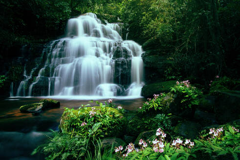 Tropical forest jungle river stream waterfall mountain landscape nature plant and Pink Habenaria rhodocheila at phetchabun waterfall Mundeang in Phuhinrongkla National Park Phitsanulok Thailand - INGF12798