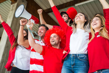 Fußballfans im Stadion - Fußballfans haben Spaß und sehen sich ein Fußballspiel an - DMDF05519