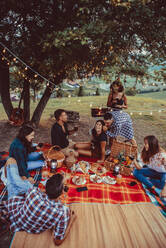 Group of young happy friends having pic-nic outdoors - People having fun and celebrating while grilling ata barbacue party in a countryside - DMDF05662