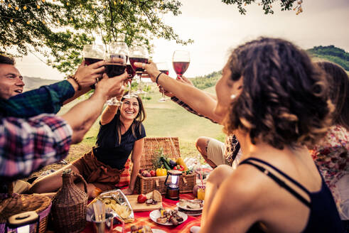 Group of young happy friends having pic-nic outdoors - People having fun and celebrating while grilling ata barbacue party in a countryside - DMDF05674