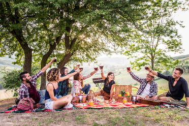 Group of young happy friends having pic-nic outdoors - People having fun and celebrating while grilling ata barbacue party in a countryside - DMDF05685