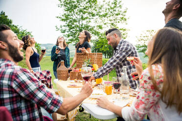 Group of young happy friends having pic-nic outdoors - People having fun and celebrating while grilling ata barbacue party in a countryside - DMDF05690