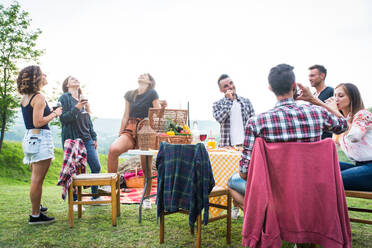 Group of young happy friends having pic-nic outdoors - People having fun and celebrating while grilling ata barbacue party in a countryside - DMDF05694