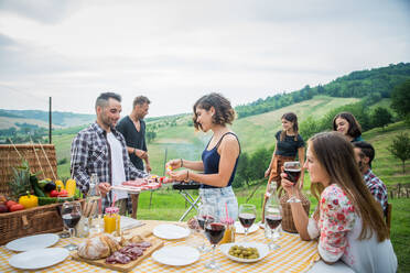 Group of young happy friends having pic-nic outdoors - People having fun and celebrating while grilling ata barbacue party in a countryside - DMDF05713