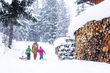 Senior woman holding hands and walking with children pulling sled on snow - HHF05932