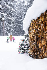 Children with grandmother walking on snow - HHF05934