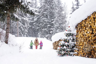 Junge und Mädchen mit Großmutter gehen auf Schnee - HHF05936