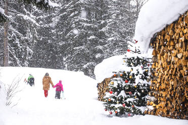 Großmutter geht mit Kindern vor Bäumen im Schnee spazieren - HHF05939