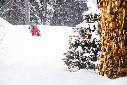 Boy and girl with grandmother sledding on snow - HHF05940