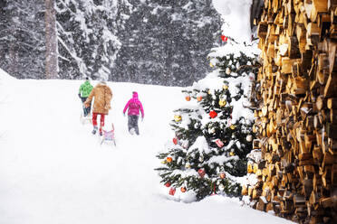 Schwester und Bruder gehen mit Großmutter im Schnee spazieren - HHF05941