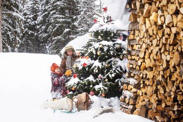 Schwester und Bruder schmücken den Weihnachtsbaum in der Nähe von Brennholz - HHF05942