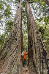 USA, California, Stinson Beach, Senior woman touching large redwood trees on hike - TETF02255