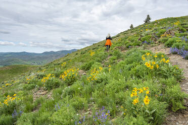USA, Idaho, Hailey, Senior blonde woman hiking on Carbonate Mountain trail - TETF02258