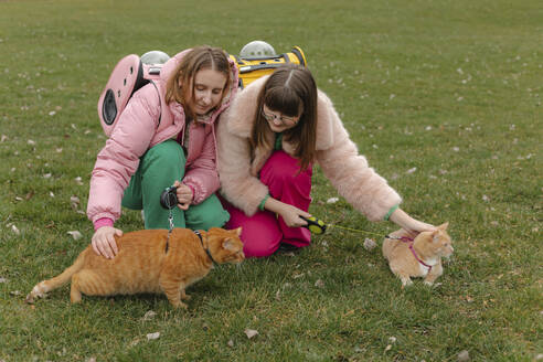 Zwei junge Frauen streicheln Katzen im Gras eines Parks - EHAF00104