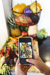 Hände einer Frau, die Gemüse und eine Schüssel mit Salat in der Küche zu Hause fotografiert - PCLF00750
