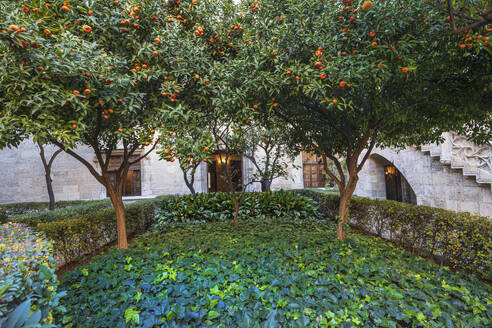 Spain, Valencia, Historic formal garden at Silk Exchange - TETF02263