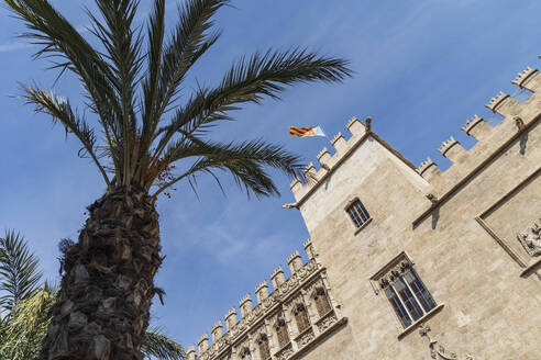 Spain, Valencia, Low angle view of facade of Silk Exchange - TETF02264