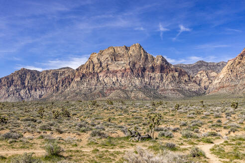 USA, Nevada, Las Vegas, Mountains at Red Rock Canyon National Conservation Area - TETF02266