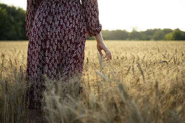 Rear view of woman touching cereal plants while standing in field at sunset - TETF02306