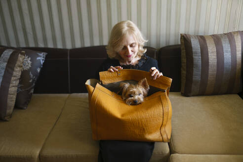 Frau hält Tasche mit Yorkshire-Terrier im Wohnzimmer auf dem Schoß - TETF02331