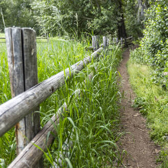 Empty footpath next to rail fence with grass - TETF02361