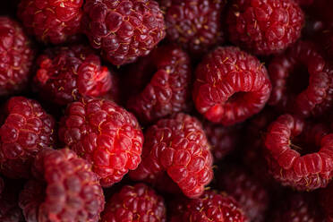 Focused of delicious fresh sweet ripe red raspberry - ADSF47884