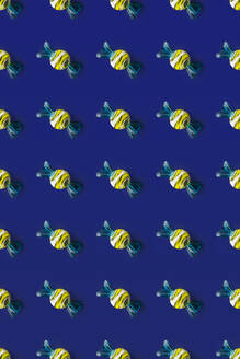 Draufsicht auf ein Muster aus ganzen süßen Kristallbonbons, die auf blauem Hintergrund angeordnet sind - ADSF47946