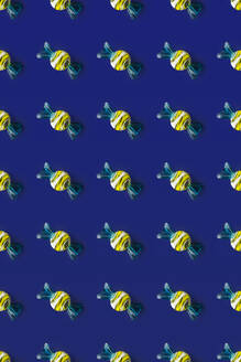 Top view of pattern of whole sweet crystal candies arranged on blue background - ADSF47946