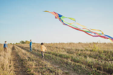 Father and sons flying kite in field on sunny day - ANAF02162