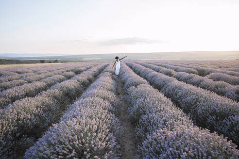 Young woman with hand raised walking amidst lavender field - AAZF01090