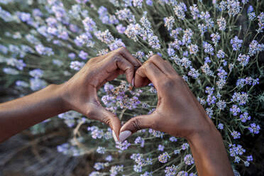 Hands of woman showing heart sign near lavender flowers - AAZF01095