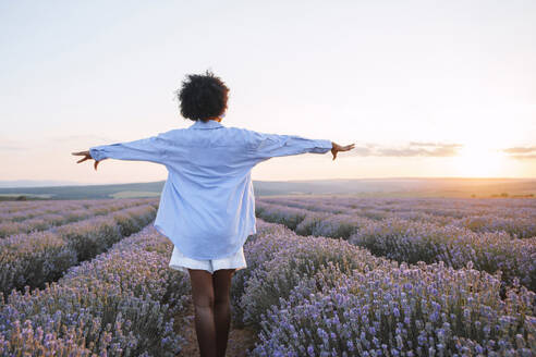 Carefree woman with arms outstretched standing in lavender field - AAZF01105