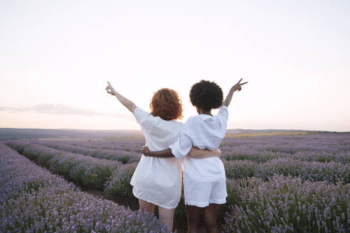 Carefree friends enjoying amidst lavender field - AAZF01120