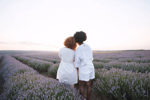 Friends standing amidst lavender field - AAZF01121