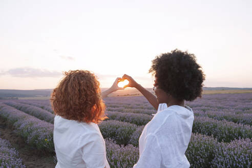 Glückliche Freunde zeigen Herzzeichen inmitten eines Lavendelfeldes - AAZF01122