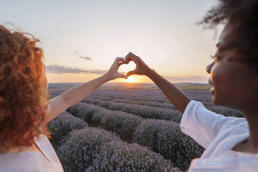 Freunde zeigen Herzzeichen inmitten eines Lavendelfeldes - AAZF01123
