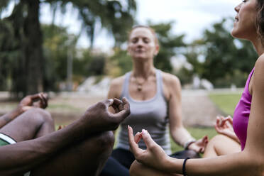 Friends sitting in lotus position meditating at park - PBTF00269