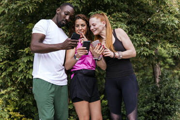 Curious friends sharing smart phones near plants at park - PBTF00297