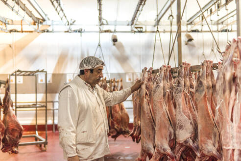 Metzger begutachtet hängendes Fleisch im Schlachthof - PBTF00314