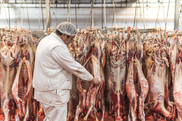 Metzger prüft die Qualität von rohem Fleisch im Schlachthof - PBTF00316